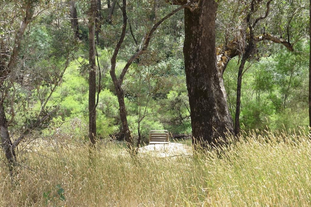 Jarrah Glen Cabins Nannup Phòng bức ảnh